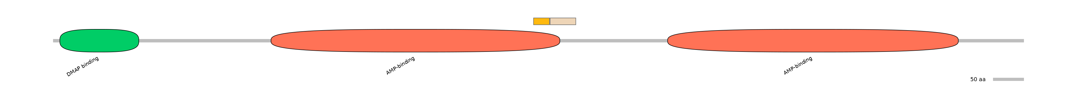 HsaINT0048124-EXC