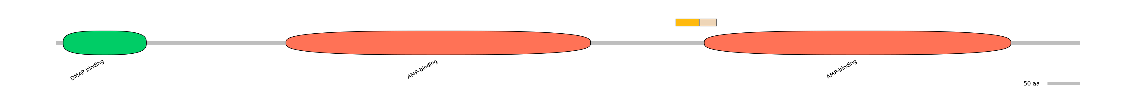 HsaINT0048128-EXC