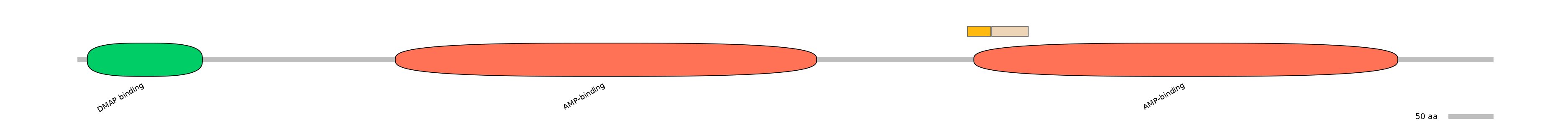 HsaINT0048129-EXC