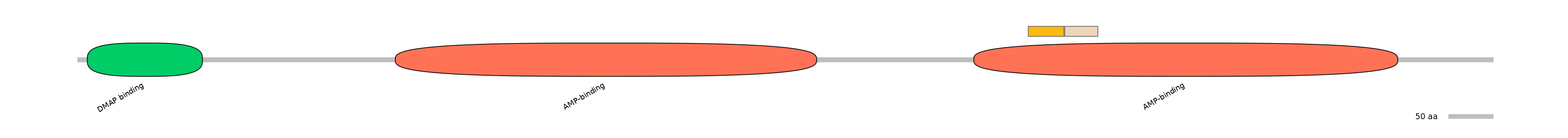 HsaINT0048131-EXC