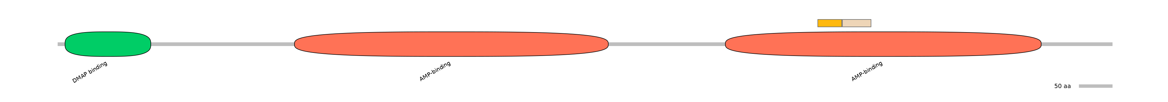 HsaINT0048133-EXC