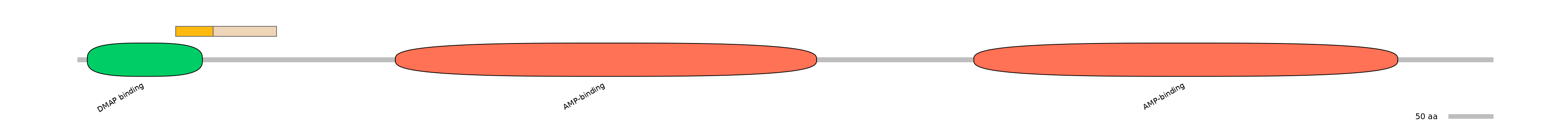 HsaINT0048143-EXC