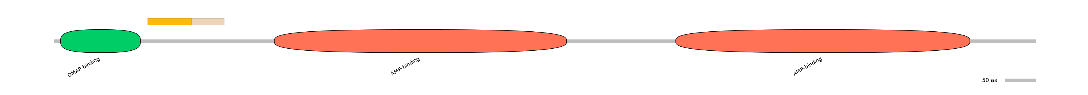HsaINT0048144-EXC