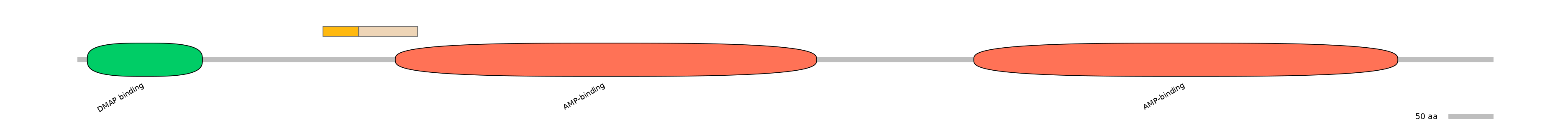 HsaINT0048146-EXC