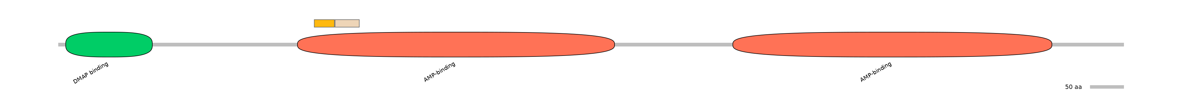HsaINT0048148-EXC