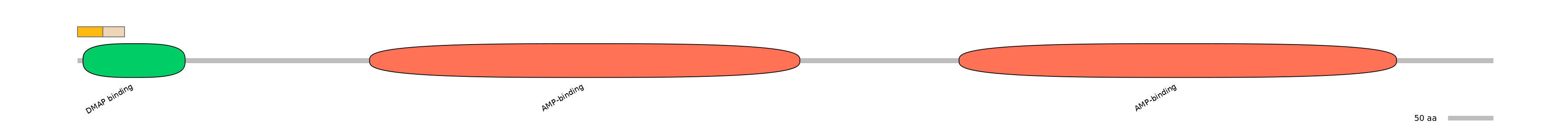 HsaINT0048149-EXC