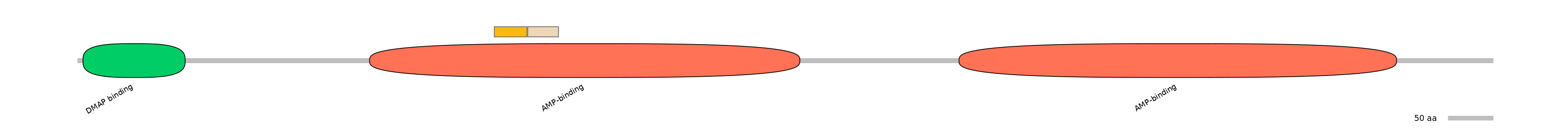 HsaINT0048152-EXC