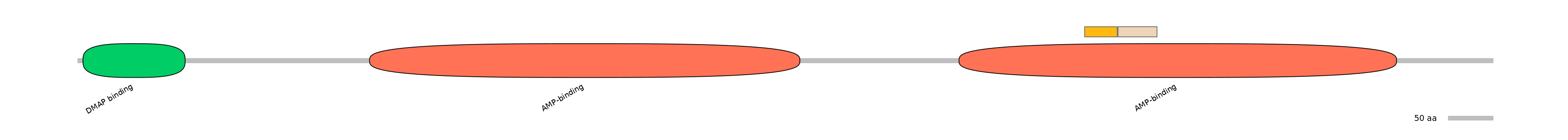 HsaINT0048169-EXC