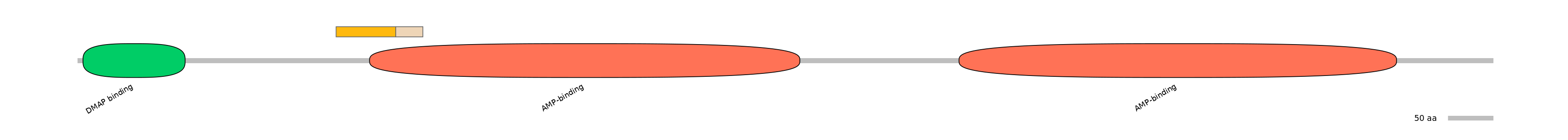 HsaINT0048183-EXC