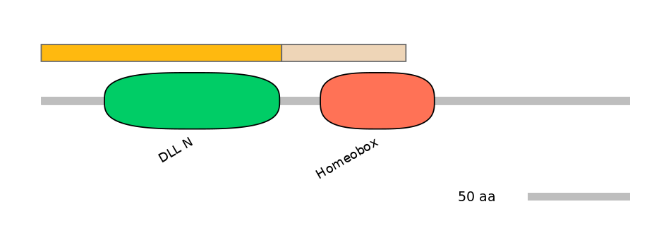 HsaINT0048742-EXC