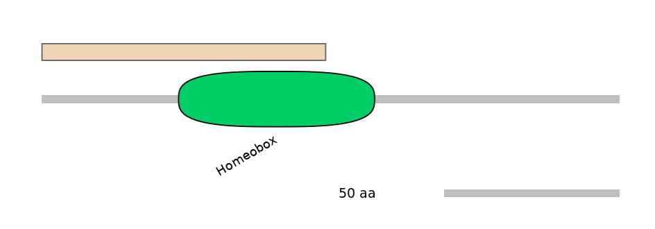 HsaINT0048744-INC