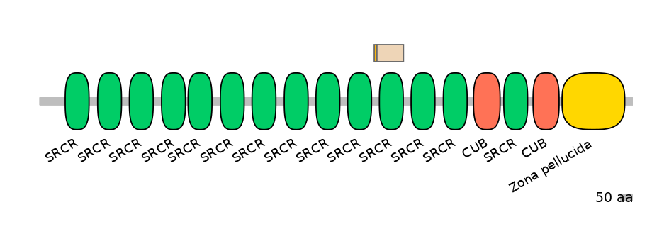 HsaINT0048771-EXC