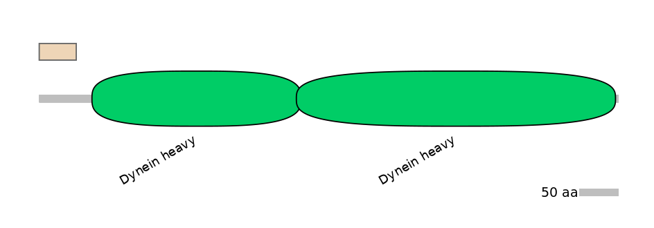 HsaINT0049409-INC