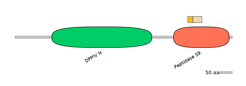 HsaINT0051745-EXC