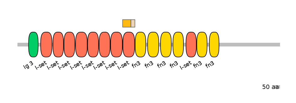 HsaINT0052349-EXC