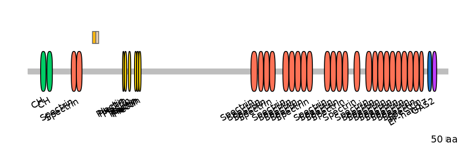 HsaINT0052510-EXC