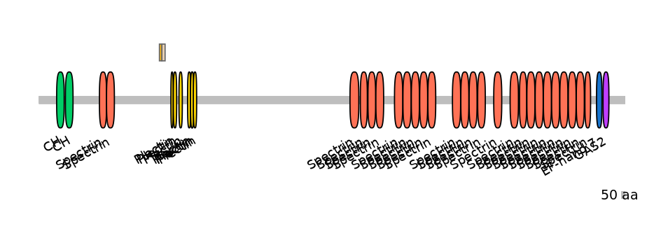 HsaINT0052528-EXC