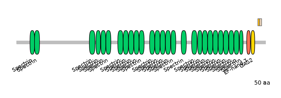 HsaINT0052588-EXC
