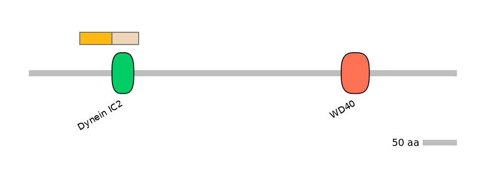HsaINT0053152-EXC
