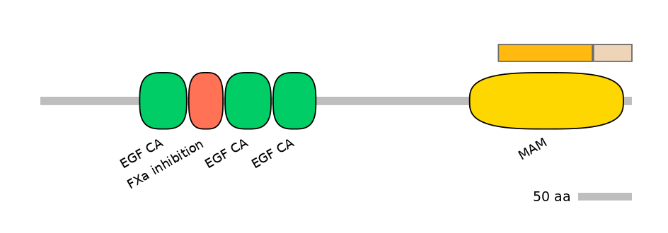 HsaINT0054566-EXC