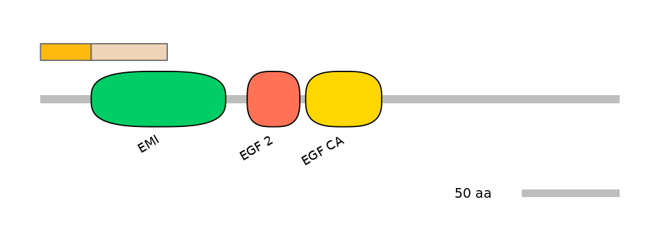 HsaINT0054576-EXC