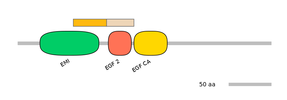 HsaINT0054578-EXC