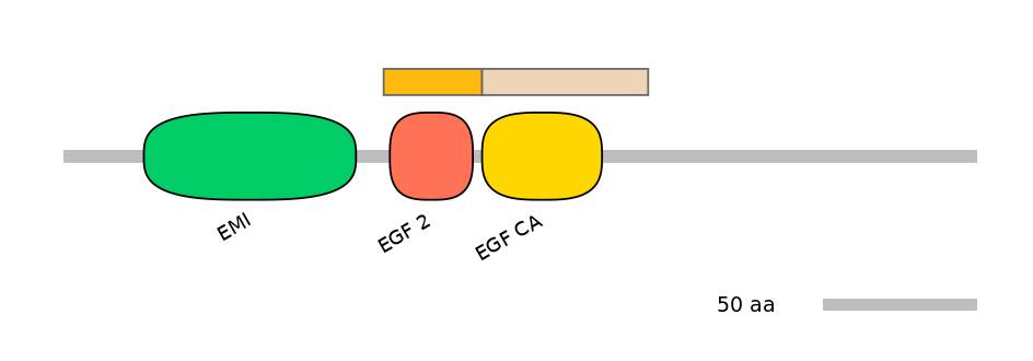 HsaINT0054579-EXC