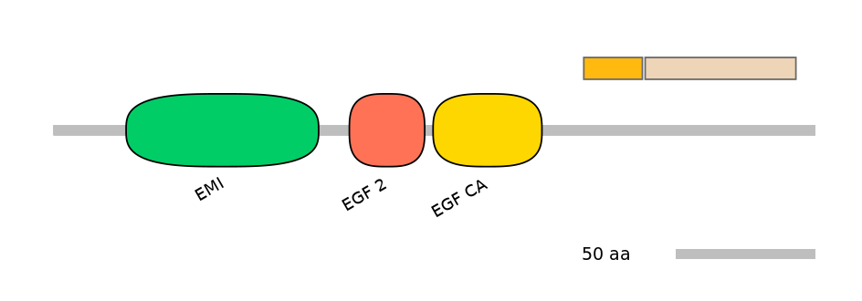 HsaINT0054581-EXC
