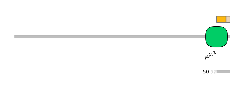 HsaINT0054736-EXC