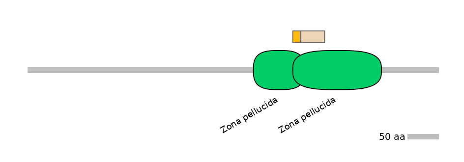 HsaINT0056232-EXC