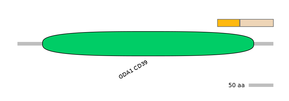 HsaINT0056486-EXC
