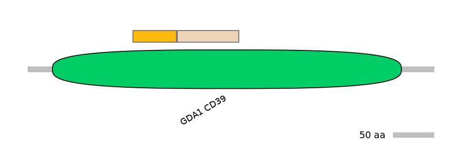 HsaINT0056490-EXC