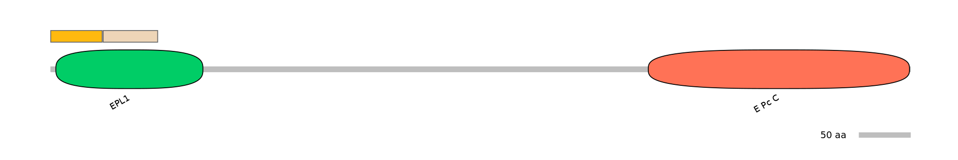 HsaINT0056880-EXC
