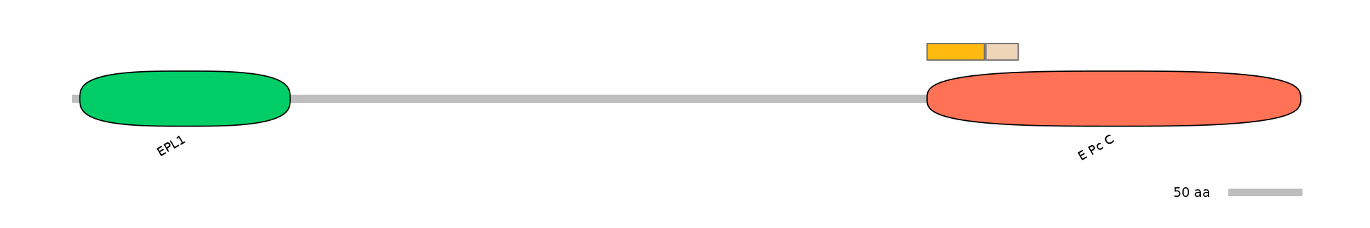 HsaINT0056882-EXC