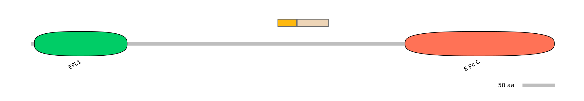 HsaINT0056905-EXC