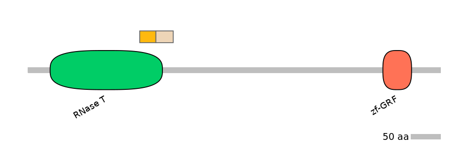 HsaINT0057798-EXC