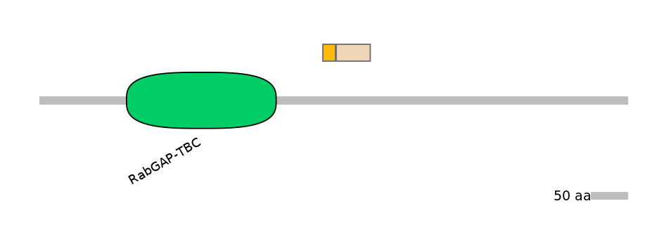 HsaINT0058467-EXC