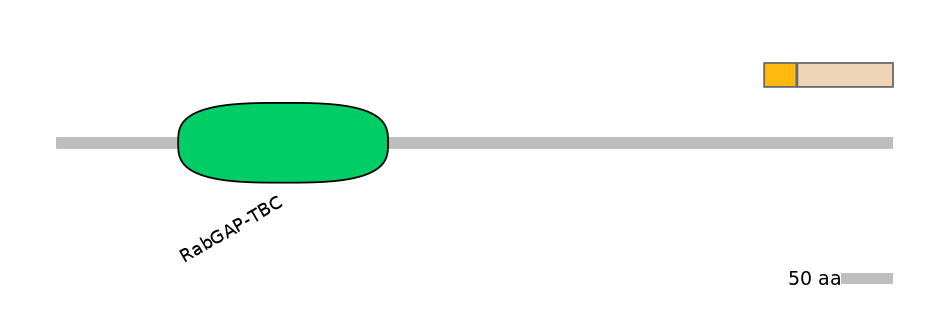 HsaINT0058474-EXC