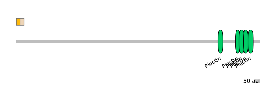 HsaINT0058495-EXC