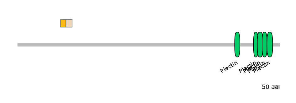 HsaINT0058496-EXC