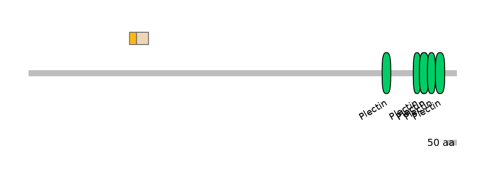 HsaINT0058499-EXC