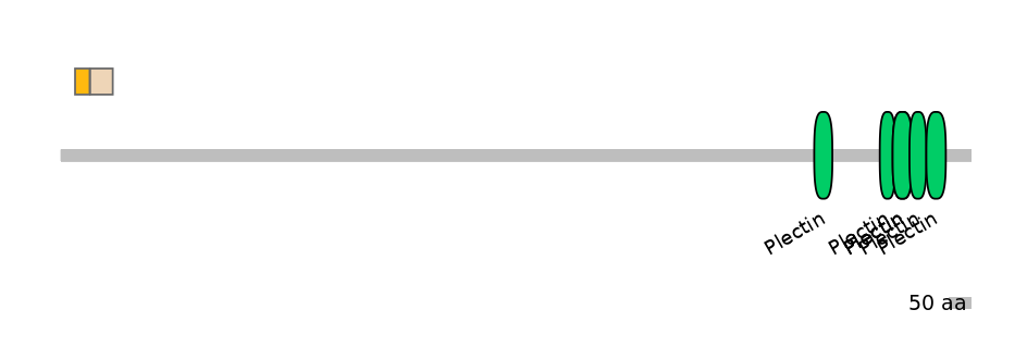 HsaINT0058506-EXC