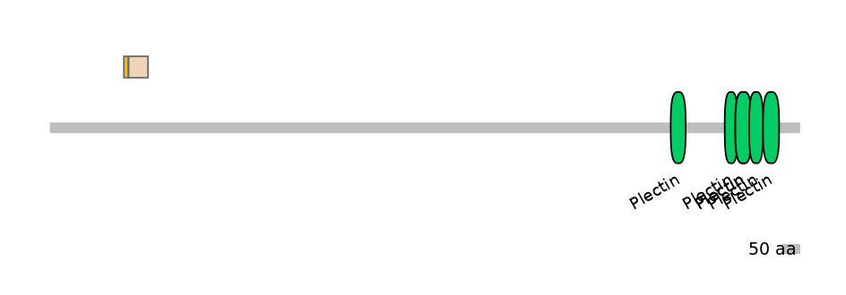 HsaINT0058512-EXC