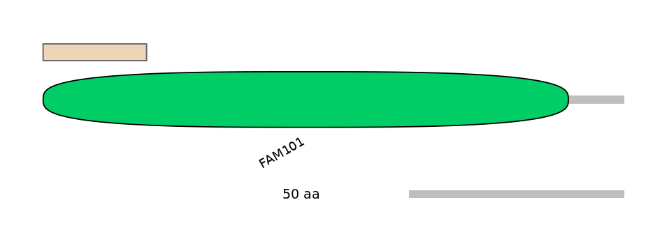 HsaINT0059437-INC