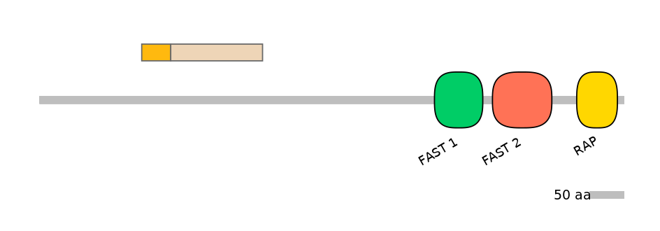 HsaINT0062153-EXC