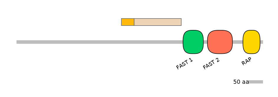 HsaINT0062156-EXC