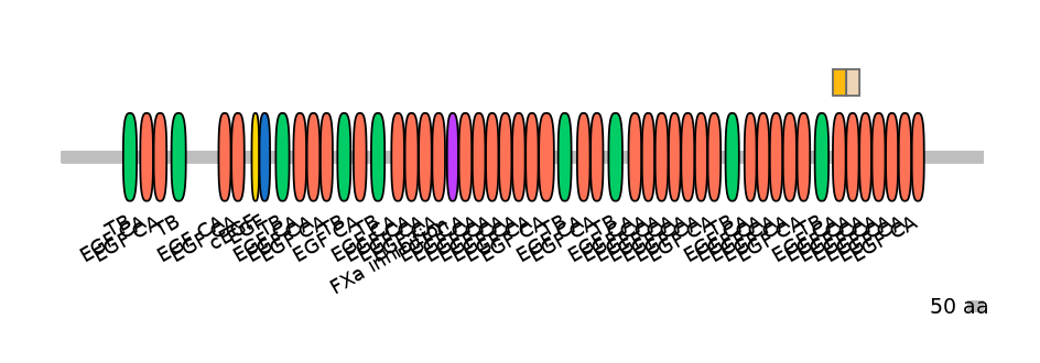 HsaINT0062427-EXC