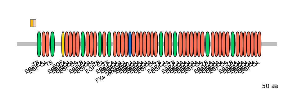 HsaINT0062471-EXC