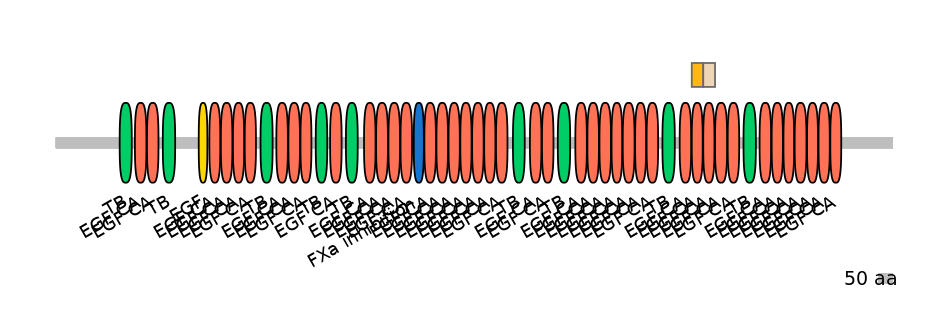HsaINT0062486-EXC