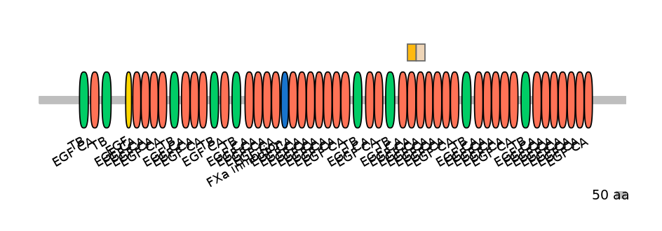 HsaINT0062538-EXC